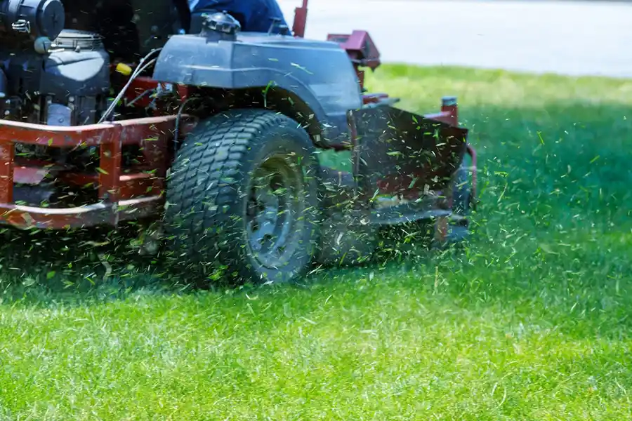 Reliable Grass Cutting Grass Cutting