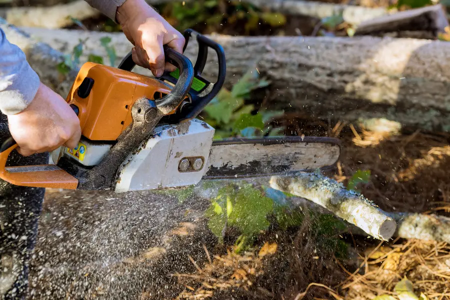 Experienced Tree Service Louisburg, NC Experienced Tree Service Louisburg, NC