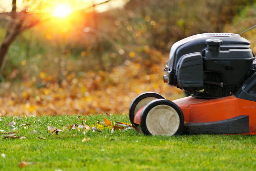 How Lawn Care Services Help Manage Pest Control Effectively in Louisburg, NC