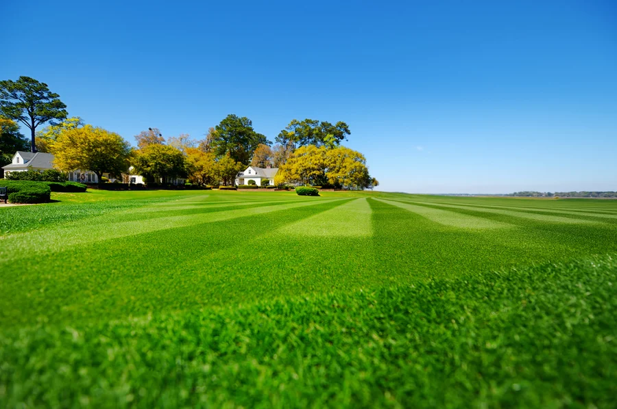 How To Choose The Right Lawn Care Service For Your Yard in Louisburg, NC How To Choose The Right Lawn Care Service For Your Yard in Louisburg, NC