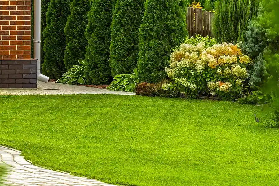 Local Lawn Care Services Louisburg, NC