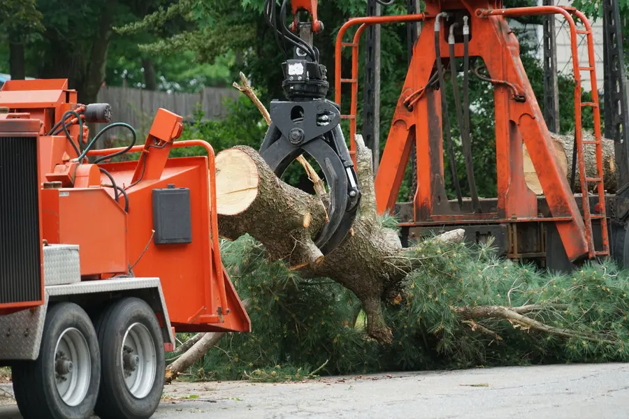 Professional Tree Service Louisburg, NC Professional Tree Service Louisburg, NC