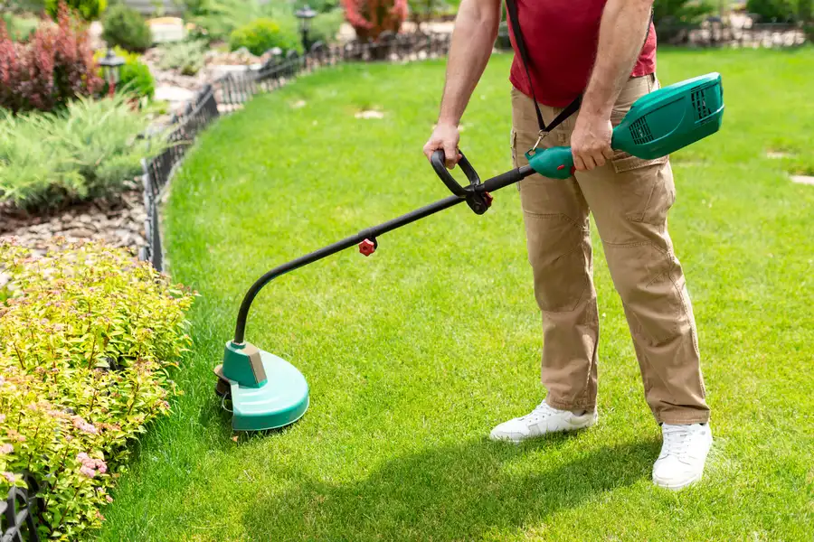 Reliable Lawn Care Services Louisburg, NC