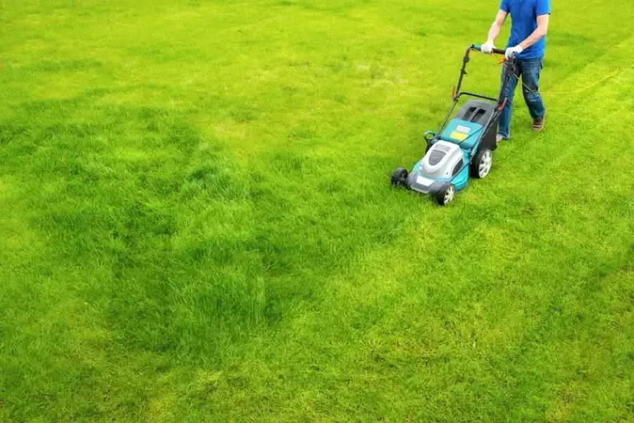 Tips For Grass Cutting During Dry Weather in Louisburg, NC Tips For Grass Cutting During Dry Weather in Louisburg, NC