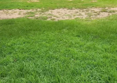 Outstanding Landscaper